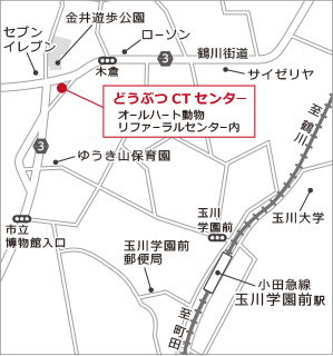 どうぶつCTセンター地図