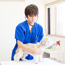 米田 拓高 獣医師