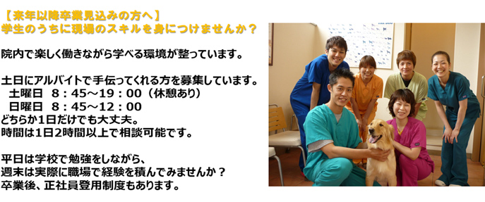 学生バイトも募集中!