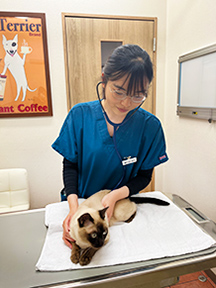 有戸　明日香　獣医師