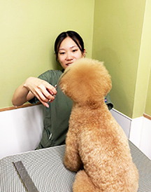 杉山 菜々　トリマー
