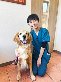 内田　獣医師