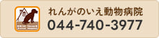 れんがのいえ動物病院044-740-3977